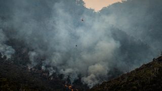 Ilustrasi petugas memadamkan kebakaran hutan untuk artikel kebijakan penanganan karhutla